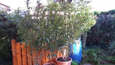 20151002_171503.jpg