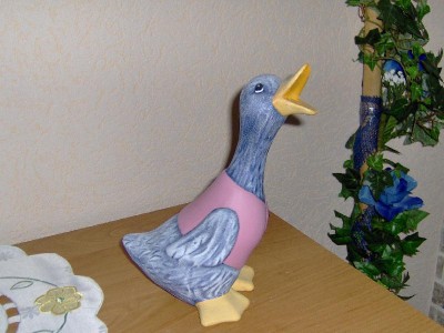 Gans rosa Jacke.jpg