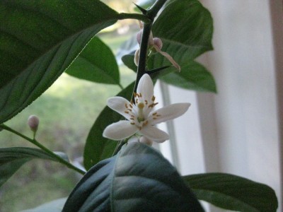 IMG_3190.JPG