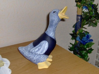 Gans blaue Jacke.jpg