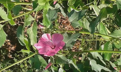 20151010_113158.jpg