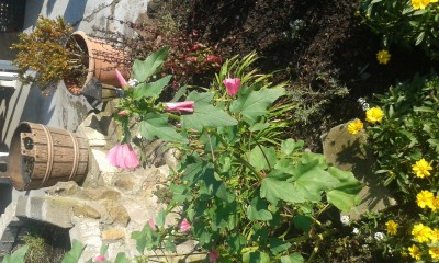 20151010_113239.jpg