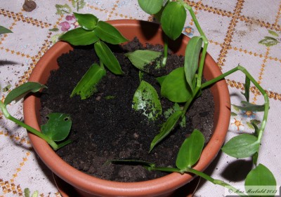 20151010_02.JPG