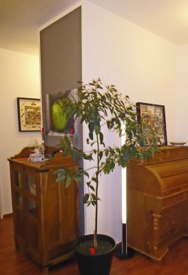 P1000149.jpg