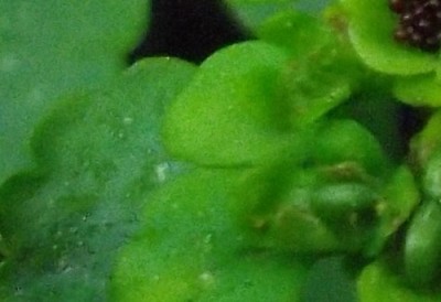 Bild 116 - Kopie.jpg