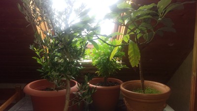 IMAG0489.jpg
