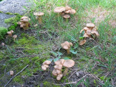 IMG_3498.JPG