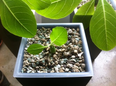 2015-10-23 13.47.38.jpg