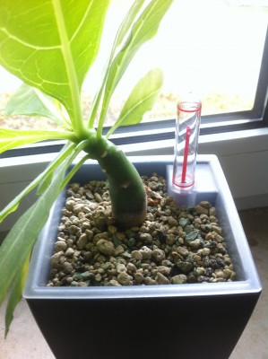 2015-10-23 13.47.59.jpg