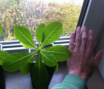 2015-10-23 13.47.33.jpg