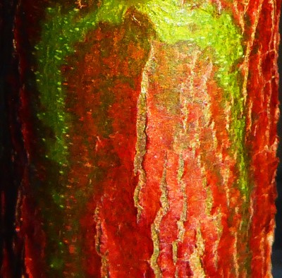 P1000399.jpg