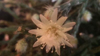 IMAG7467.jpg