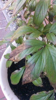 20151025_094905.jpg