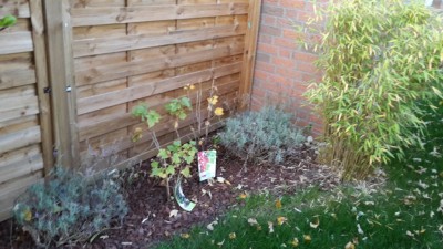 20151026_165609.jpg