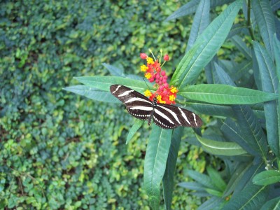 100_3804.JPG