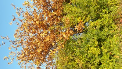 20151031_154537.jpg