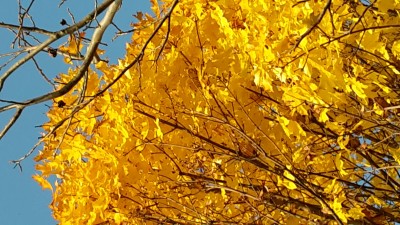 20151031_155821.jpg