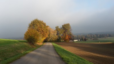 20151101_153056.jpg