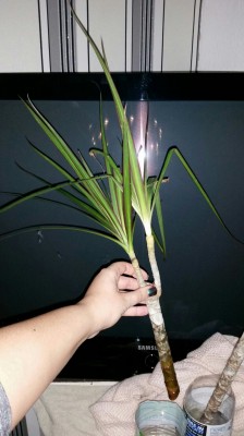 2015-11-16 21.35.58.jpg