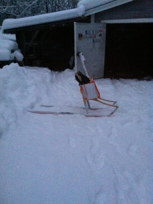 bild 2.JPG