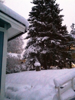 bild 4.JPG