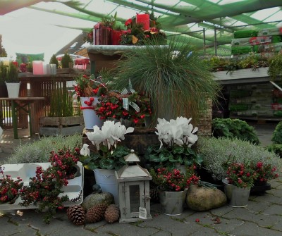 Adventstreffen (18).JPG