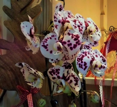 Adventstreffen (5).JPG