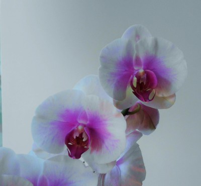 Adventstreffen (6).JPG