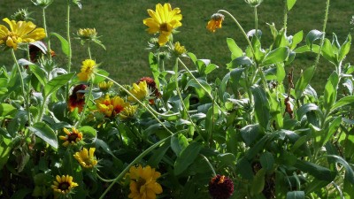 Adventstreffen (20).JPG