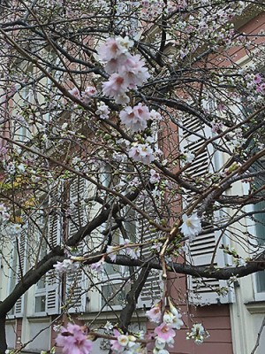 IMG_2127.jpg