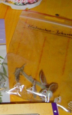 Nikolauswichteln2013.jpg