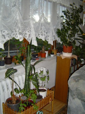 Fensterbretter Stuben (2).jpg