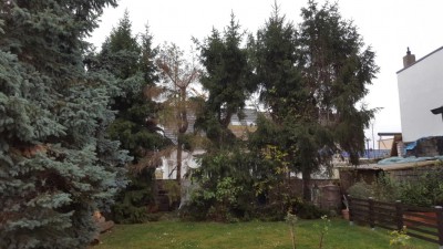 20151129_130657.JPG