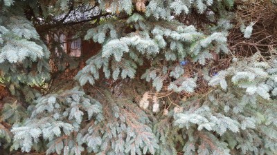 20151129_130707.JPG