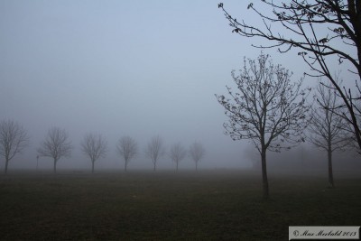 20151208_16.JPG