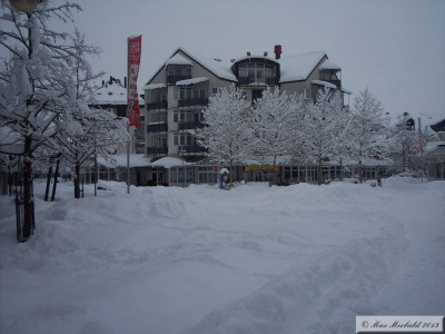 20060306_03.JPG