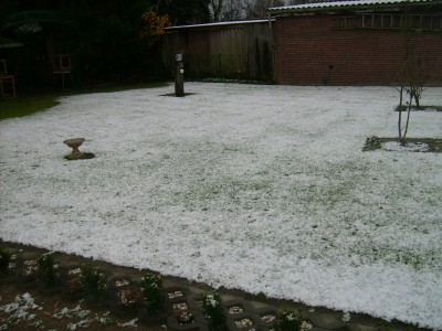 Garten 053.jpg