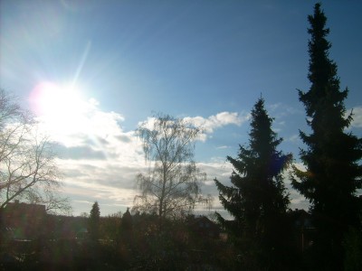 Garten.jpg