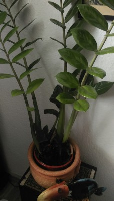 IMAG0139.jpg