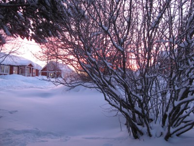 IMG_0346.JPG