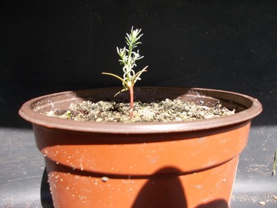 DSCN1577.JPG