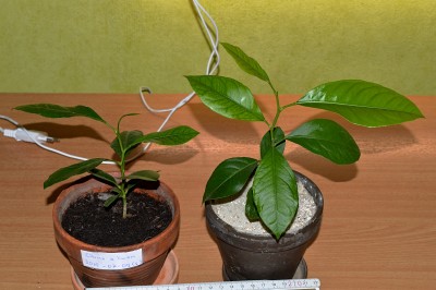 2015-12-30_01-46-30.JPG