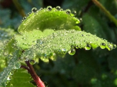 20151229 124 - Kopie.JPG