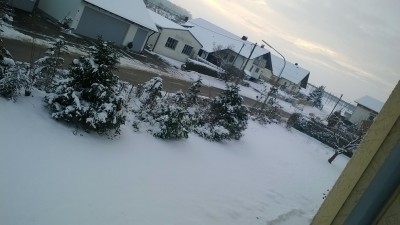 Winter (8).jpg