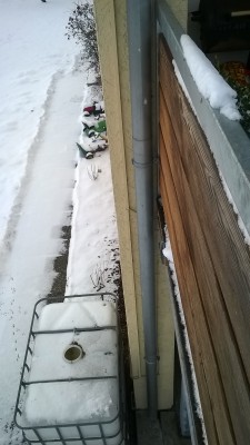 Winter (9).jpg