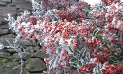 20160102_145755.jpg