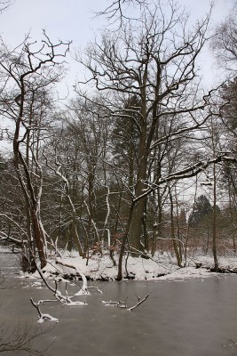 IMG_0139k.jpg