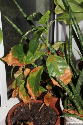20160114_03.JPG