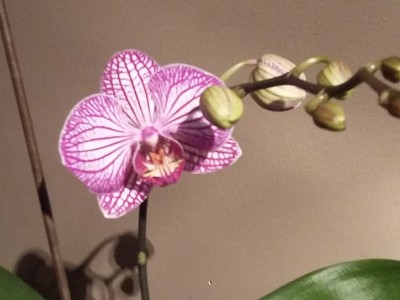 20160114_163829.jpg