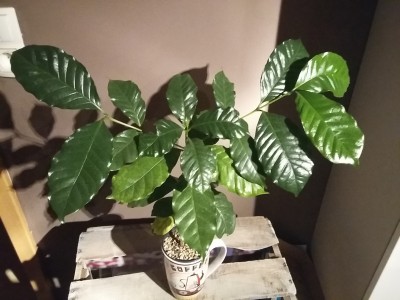 20160114_165201.jpg